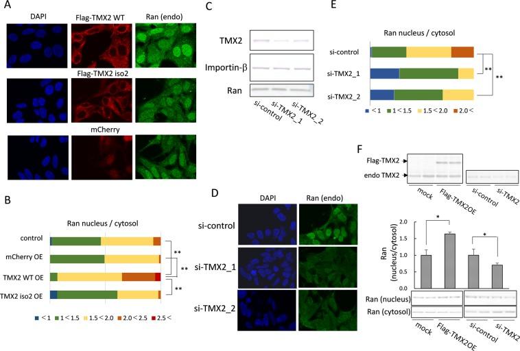 https://cdn.ncbi.nlm.nih.gov/pmc/blobs/9203/6814788/24ab48e5aa04/41598_2019_51773_Fig4_HTML.jpg
