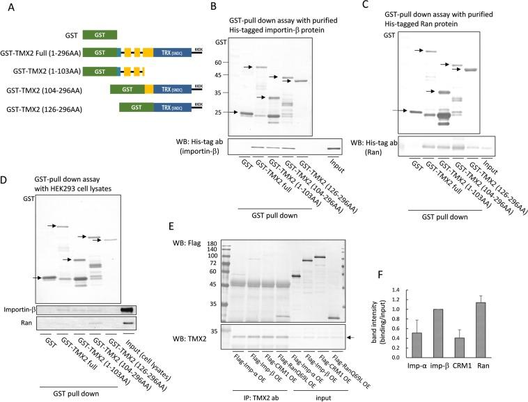 https://cdn.ncbi.nlm.nih.gov/pmc/blobs/9203/6814788/37eb88db487c/41598_2019_51773_Fig3_HTML.jpg