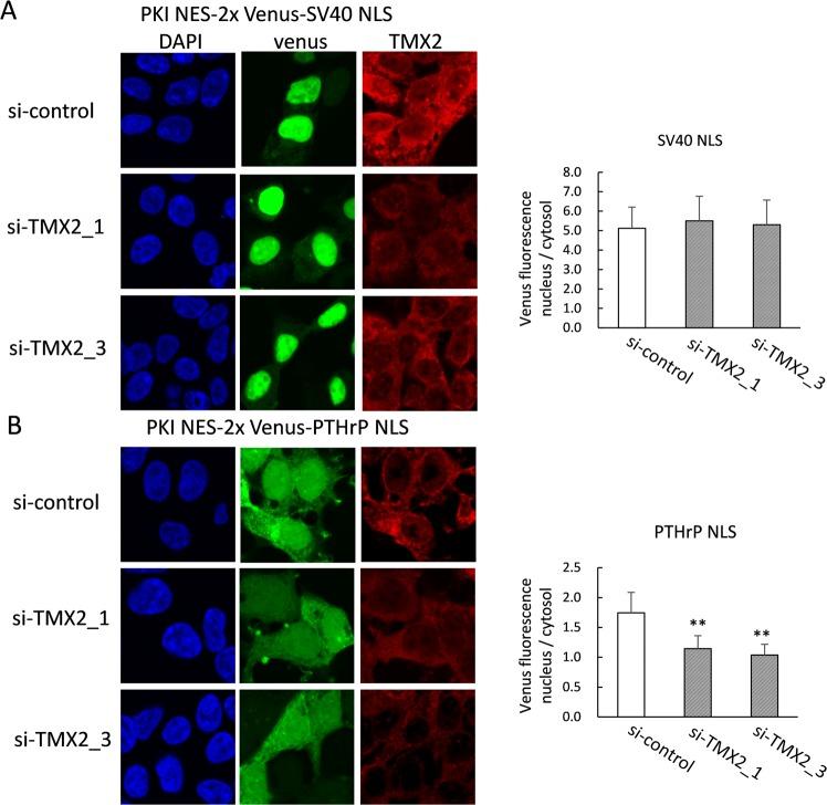 https://cdn.ncbi.nlm.nih.gov/pmc/blobs/9203/6814788/43c78ac71491/41598_2019_51773_Fig5_HTML.jpg