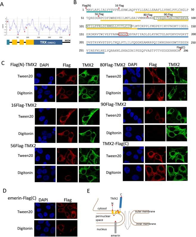 https://cdn.ncbi.nlm.nih.gov/pmc/blobs/9203/6814788/9412edc9c4a9/41598_2019_51773_Fig2_HTML.jpg