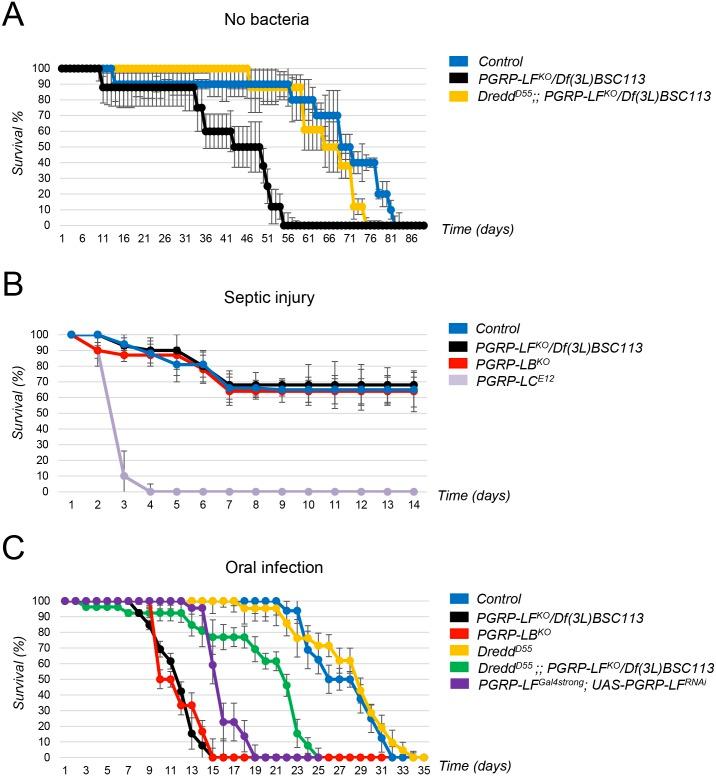 https://cdn.ncbi.nlm.nih.gov/pmc/blobs/9204/5279808/16e3169d15fa/pgen.1006569.g004.jpg
