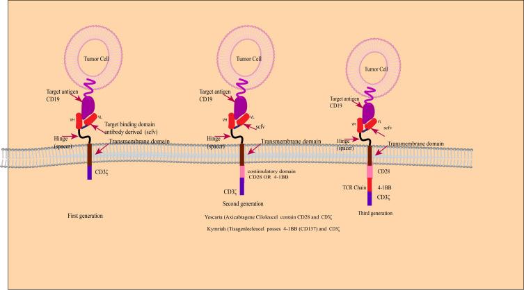 https://cdn.ncbi.nlm.nih.gov/pmc/blobs/9204/7987258/5c076651c9cc/BTT-15-67-g0002.jpg