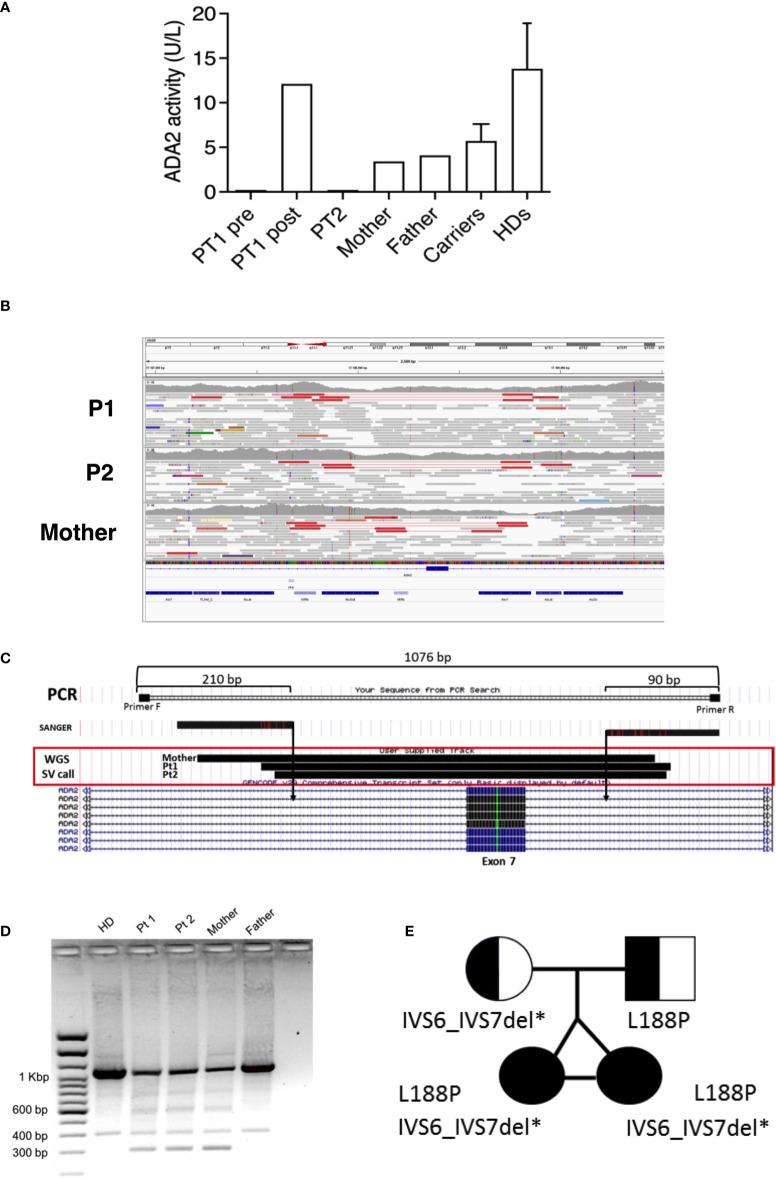 https://cdn.ncbi.nlm.nih.gov/pmc/blobs/9204/9557171/2e4349260341/fimmu-13-910021-g003.jpg