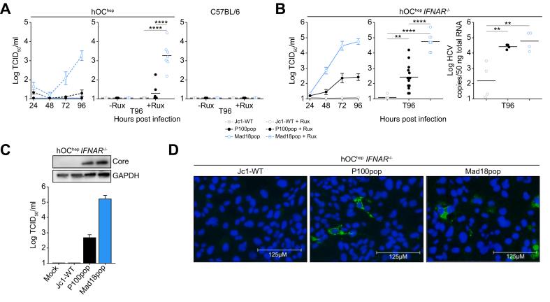 https://cdn.ncbi.nlm.nih.gov/pmc/blobs/9207/11999267/49e500ae5fb9/gr2.jpg