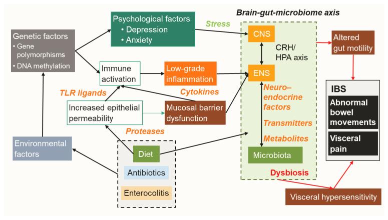 https://cdn.ncbi.nlm.nih.gov/pmc/blobs/9207/7698457/994475ab40d9/ijms-21-08664-g001.jpg