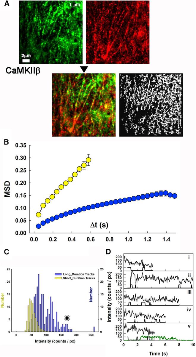 https://cdn.ncbi.nlm.nih.gov/pmc/blobs/9208/4968397/2827974b5032/gr3.jpg