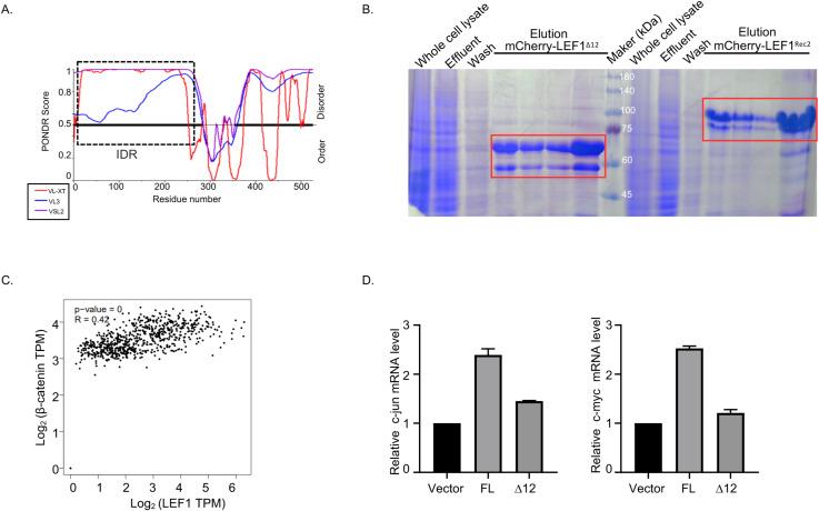 https://cdn.ncbi.nlm.nih.gov/pmc/blobs/9209/10474303/0bfeb7894308/LSA-2023-02118_FigS4.jpg