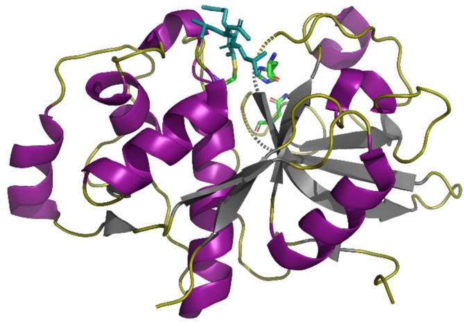 https://cdn.ncbi.nlm.nih.gov/pmc/blobs/920e/8541236/43619d0e46a5/pharmaceutics-13-01603-g002.jpg