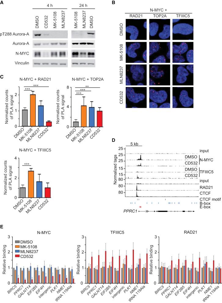 https://cdn.ncbi.nlm.nih.gov/pmc/blobs/920f/5746598/0531e739bbd8/gr6.jpg