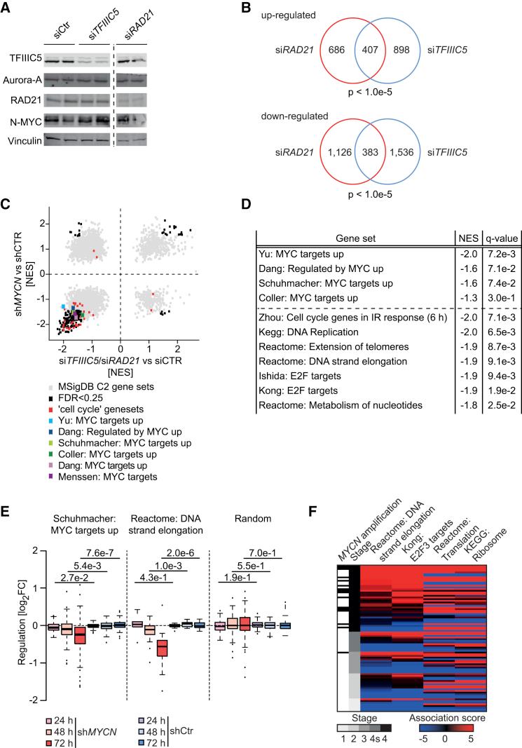 https://cdn.ncbi.nlm.nih.gov/pmc/blobs/920f/5746598/541d5c4401a8/gr4.jpg