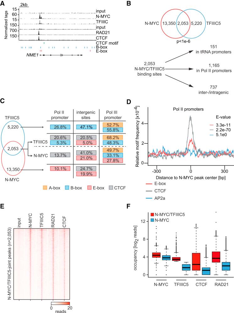 https://cdn.ncbi.nlm.nih.gov/pmc/blobs/920f/5746598/644a81facf1a/gr2.jpg