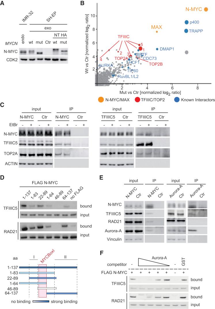 https://cdn.ncbi.nlm.nih.gov/pmc/blobs/920f/5746598/8e130e266ea5/gr1.jpg