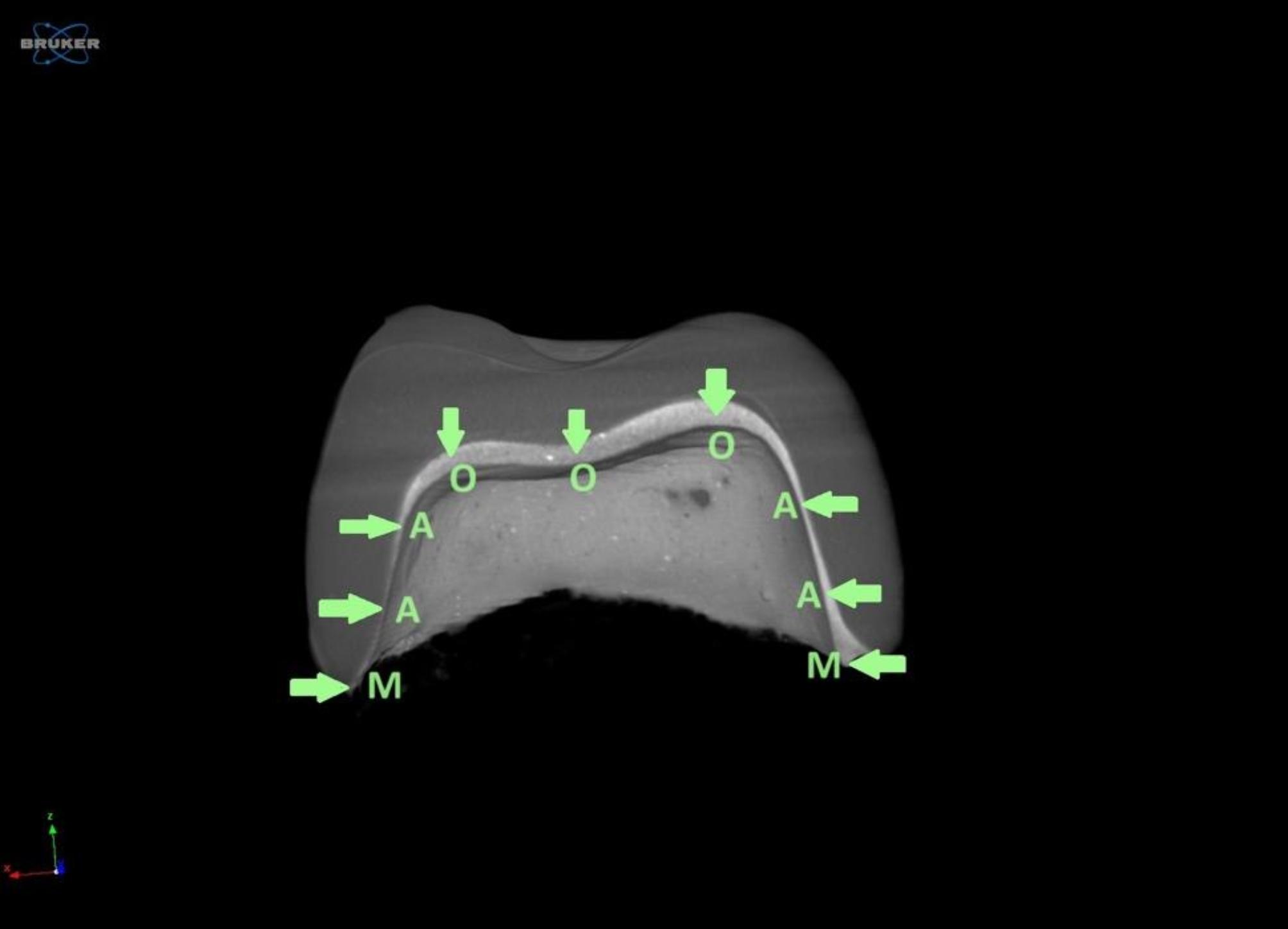 https://cdn.ncbi.nlm.nih.gov/pmc/blobs/9210/12001578/1597fa58ce4e/12903_2025_5947_Fig2_HTML.jpg