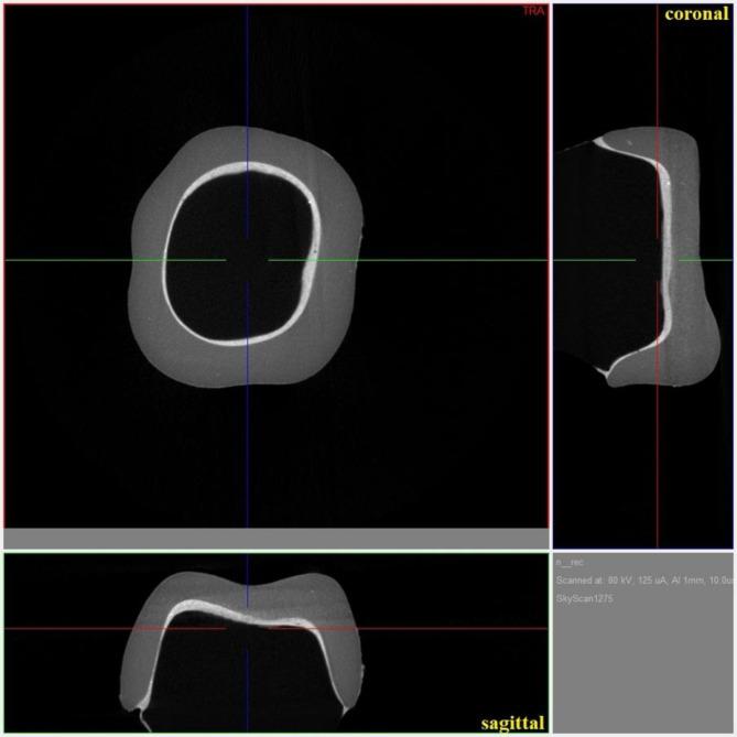 https://cdn.ncbi.nlm.nih.gov/pmc/blobs/9210/12001578/59d20fcca2c1/12903_2025_5947_Fig1_HTML.jpg