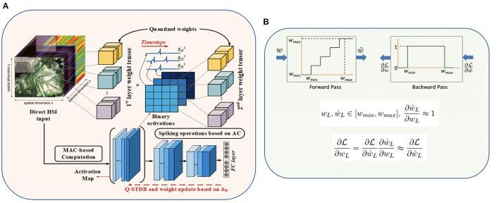 https://cdn.ncbi.nlm.nih.gov/pmc/blobs/9211/9025538/76647277e50a/fnins-16-815258-g0003.jpg
