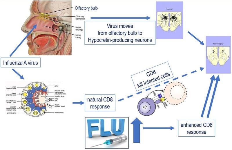 https://cdn.ncbi.nlm.nih.gov/pmc/blobs/9212/8137224/33558f5a2c7c/bmjgh-2020-003814f02.jpg