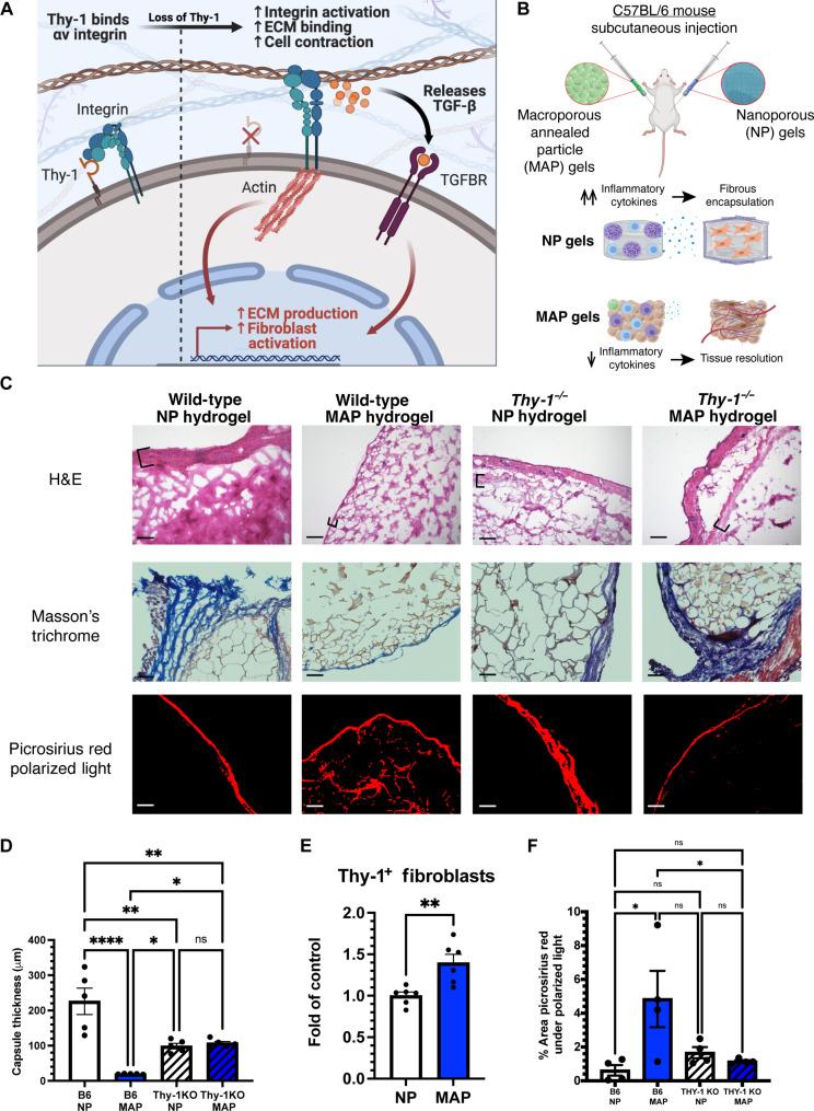 https://cdn.ncbi.nlm.nih.gov/pmc/blobs/9213/11177936/8c367b3ad06f/sciadv.adf2675-f1.jpg