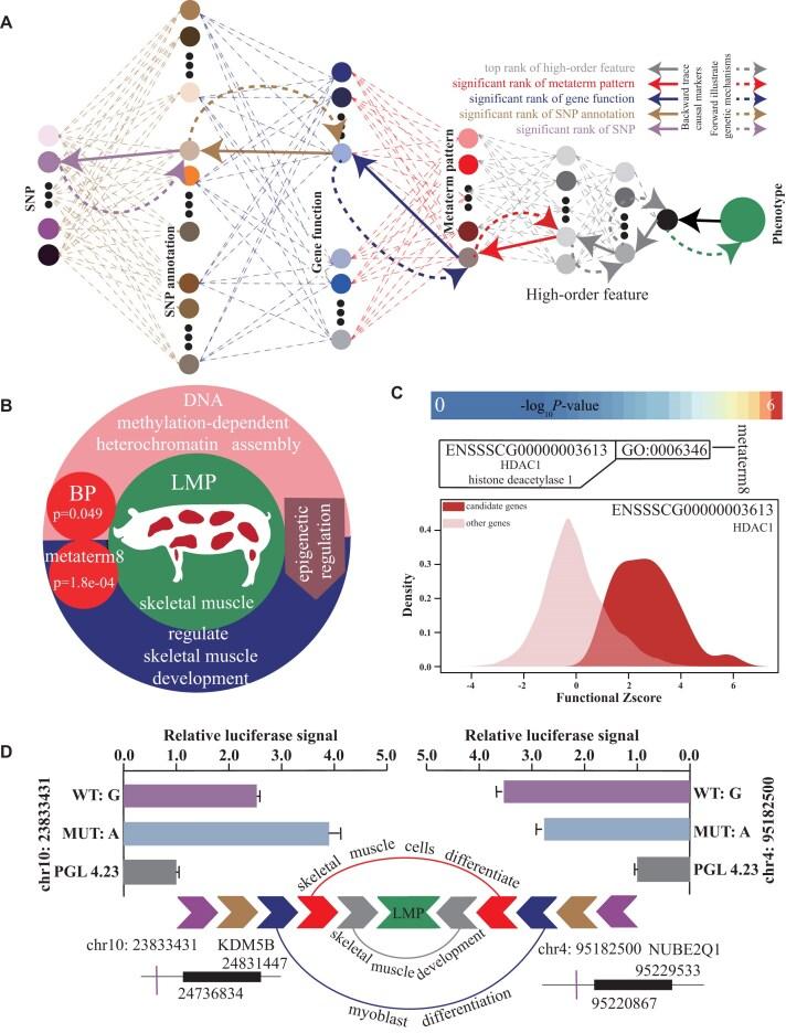 https://cdn.ncbi.nlm.nih.gov/pmc/blobs/9216/12392413/587beb6db7b4/giaf083fig4.jpg
