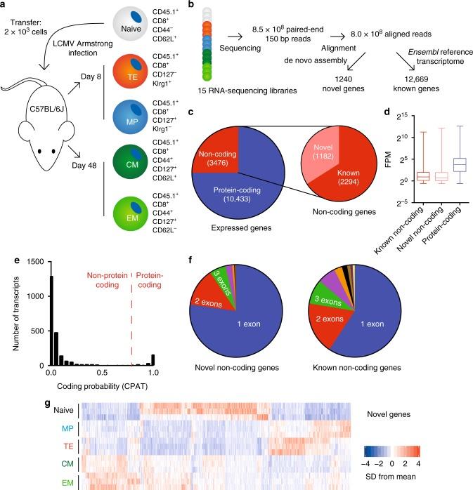 https://cdn.ncbi.nlm.nih.gov/pmc/blobs/9218/6331603/3522a696f209/41467_2018_7956_Fig1_HTML.jpg
