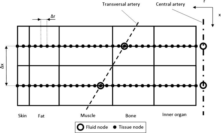 https://cdn.ncbi.nlm.nih.gov/pmc/blobs/9219/5021771/15e40f1811f5/10237_2015_751_Fig2_HTML.jpg