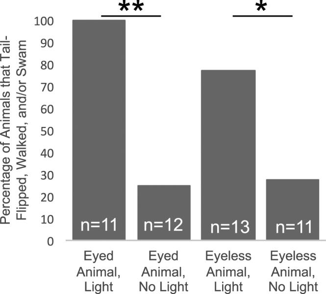 https://cdn.ncbi.nlm.nih.gov/pmc/blobs/9219/6018774/c395382d106b/41598_2018_28004_Fig2_HTML.jpg