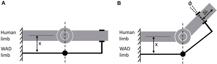 https://cdn.ncbi.nlm.nih.gov/pmc/blobs/9219/9872199/b16c6daf5178/fbioe-10-1044275-g001.jpg