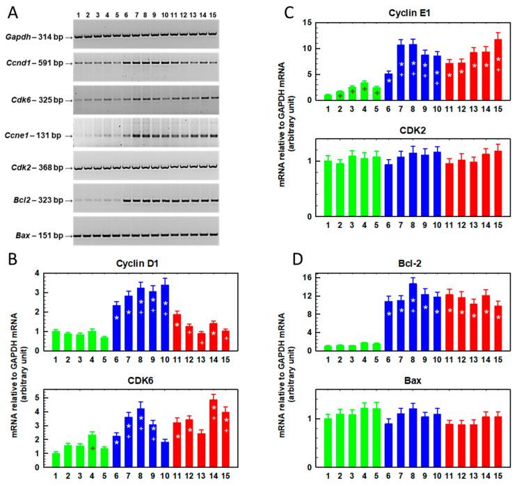 https://cdn.ncbi.nlm.nih.gov/pmc/blobs/921d/9501161/fd8ac91548fb/ijms-23-10818-g002.jpg
