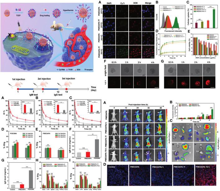 https://cdn.ncbi.nlm.nih.gov/pmc/blobs/921f/11109453/217cb156d175/fonc-14-1391293-g007.jpg