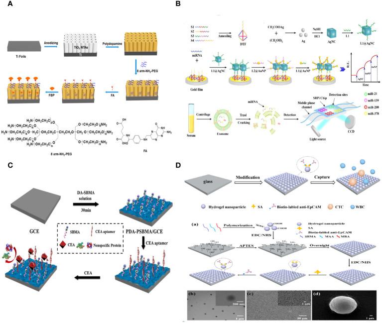 https://cdn.ncbi.nlm.nih.gov/pmc/blobs/921f/11109453/2ff7c8828874/fonc-14-1391293-g004.jpg