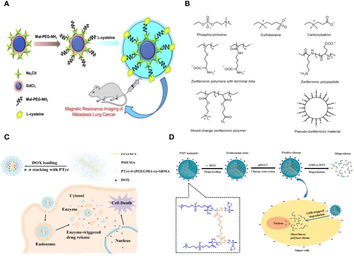 https://cdn.ncbi.nlm.nih.gov/pmc/blobs/921f/11109453/5326a2658994/fonc-14-1391293-g001.jpg