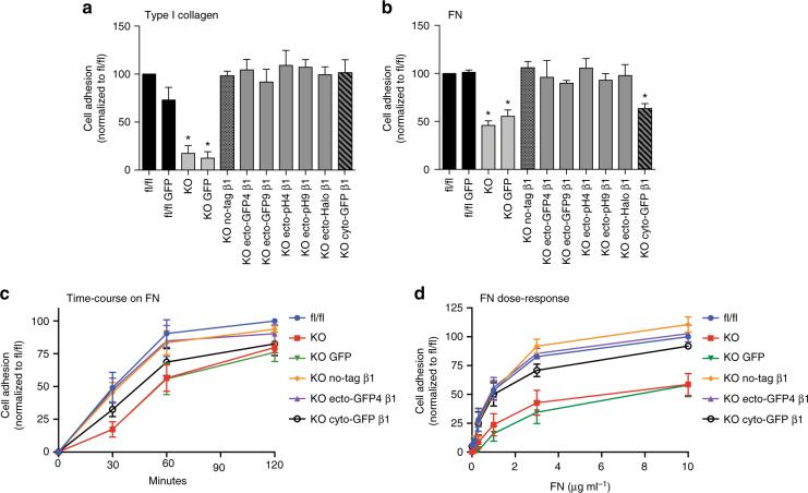 https://cdn.ncbi.nlm.nih.gov/pmc/blobs/921f/5603536/0fe2cc86c7f2/41467_2017_646_Fig3_HTML.jpg