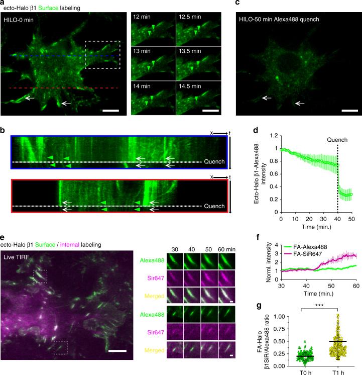 https://cdn.ncbi.nlm.nih.gov/pmc/blobs/921f/5603536/45954a6c2ea9/41467_2017_646_Fig7_HTML.jpg