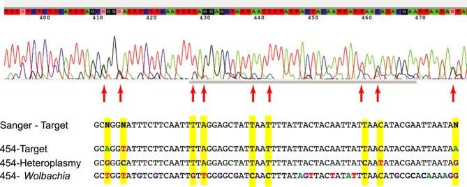 https://cdn.ncbi.nlm.nih.gov/pmc/blobs/9222/4276293/d4092de3ac1b/men0014-0892-f4.jpg