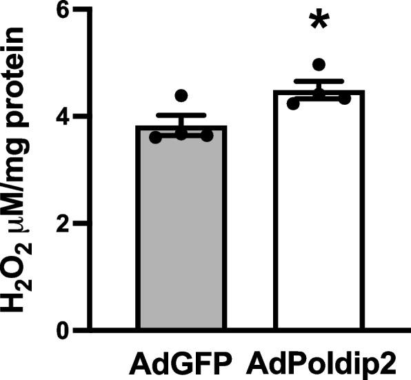 https://cdn.ncbi.nlm.nih.gov/pmc/blobs/9224/11705911/a14019494334/12964_2024_1982_Fig4_HTML.jpg
