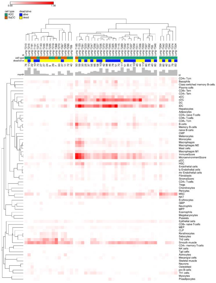 https://cdn.ncbi.nlm.nih.gov/pmc/blobs/9224/8466605/3f1c278275b8/genes-12-01458-g002.jpg