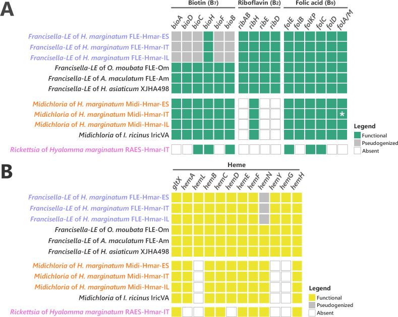 https://cdn.ncbi.nlm.nih.gov/pmc/blobs/9224/8709577/030ed2cccce9/elife-72747-fig4.jpg