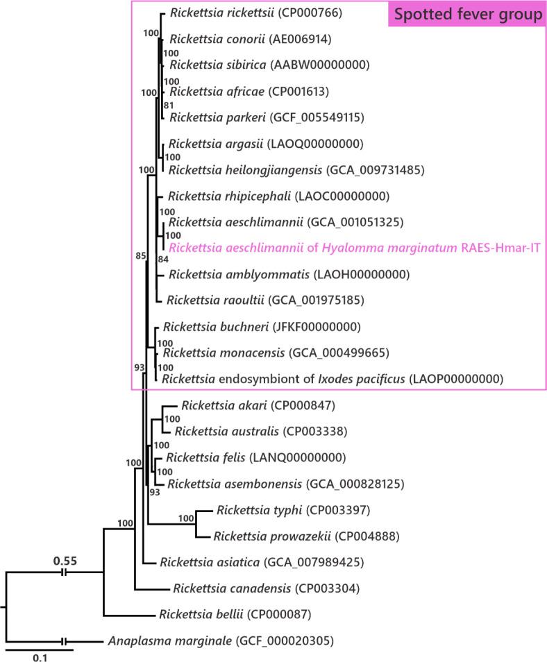https://cdn.ncbi.nlm.nih.gov/pmc/blobs/9224/8709577/7ff153f3e5d5/elife-72747-fig1-figsupp1.jpg