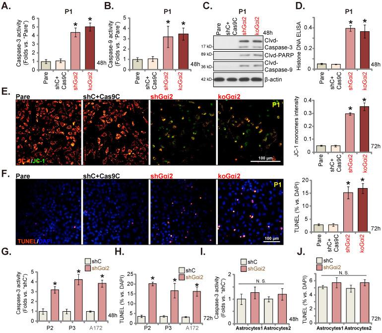 https://cdn.ncbi.nlm.nih.gov/pmc/blobs/9225/9909998/02fffa4a83af/ijbsv19p0865g004.jpg