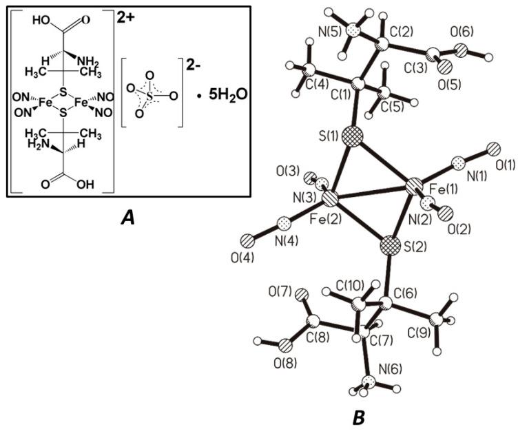 https://cdn.ncbi.nlm.nih.gov/pmc/blobs/9226/9694463/dbd298086c11/membranes-12-01088-g001.jpg