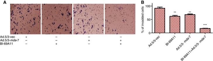 https://cdn.ncbi.nlm.nih.gov/pmc/blobs/9229/4090725/01b29a197005/bjc2014227f7.jpg