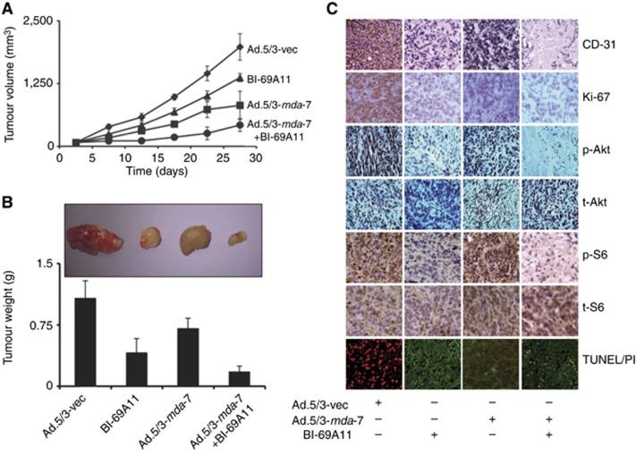 https://cdn.ncbi.nlm.nih.gov/pmc/blobs/9229/4090725/54de2c144c82/bjc2014227f8.jpg
