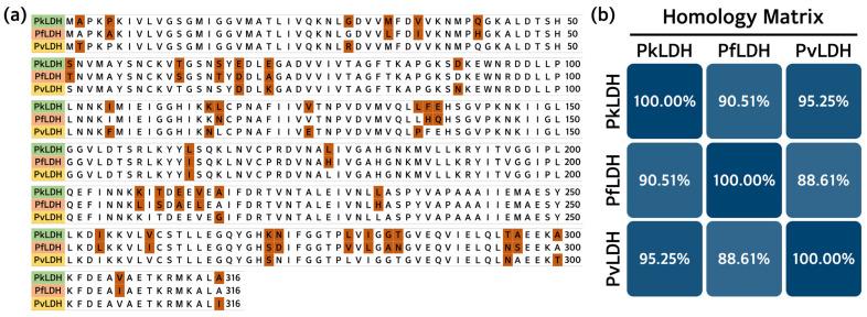 https://cdn.ncbi.nlm.nih.gov/pmc/blobs/922b/11171812/5b4751fb16b9/ijms-25-05615-g001.jpg