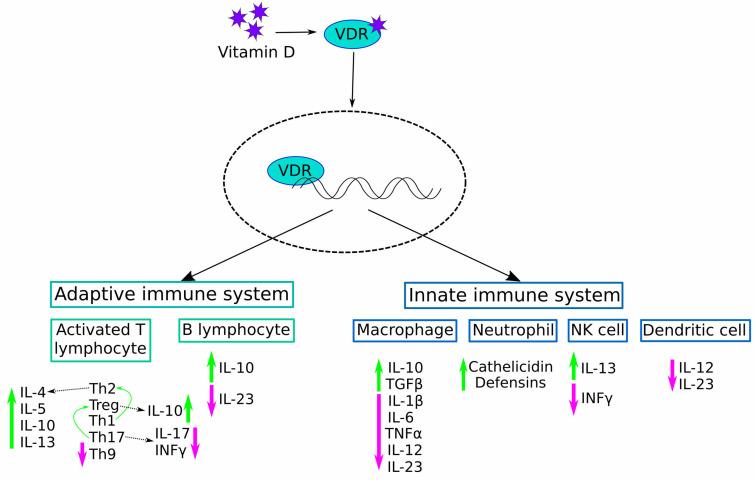 https://cdn.ncbi.nlm.nih.gov/pmc/blobs/922b/11431467/717e7c4ab05e/diagnostics-14-02035-g001.jpg