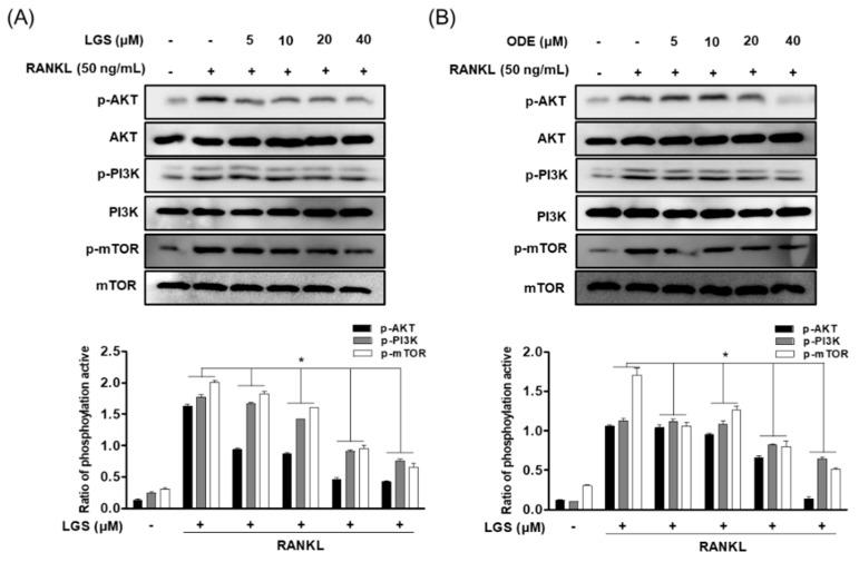 https://cdn.ncbi.nlm.nih.gov/pmc/blobs/922b/8004897/6a0f4978f031/molecules-26-01779-g008.jpg