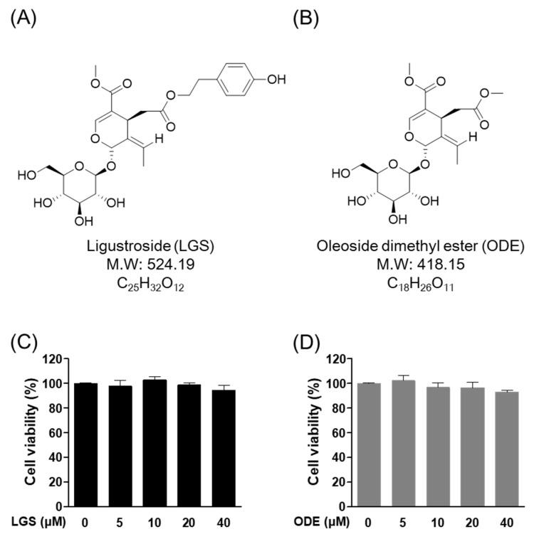 https://cdn.ncbi.nlm.nih.gov/pmc/blobs/922b/8004897/715044ce62f8/molecules-26-01779-g001.jpg