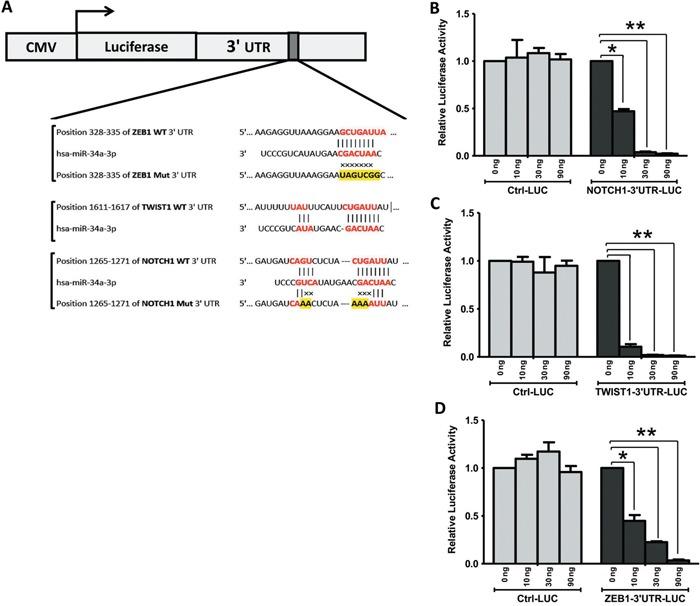 https://cdn.ncbi.nlm.nih.gov/pmc/blobs/922f/5400590/37b65e7f1755/oncotarget-08-21362-g006.jpg