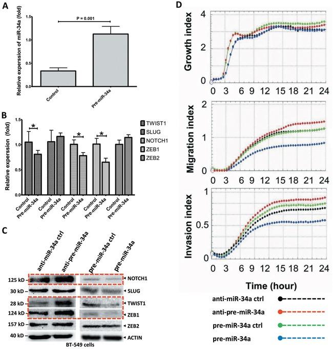 https://cdn.ncbi.nlm.nih.gov/pmc/blobs/922f/5400590/a37132f25e17/oncotarget-08-21362-g002.jpg