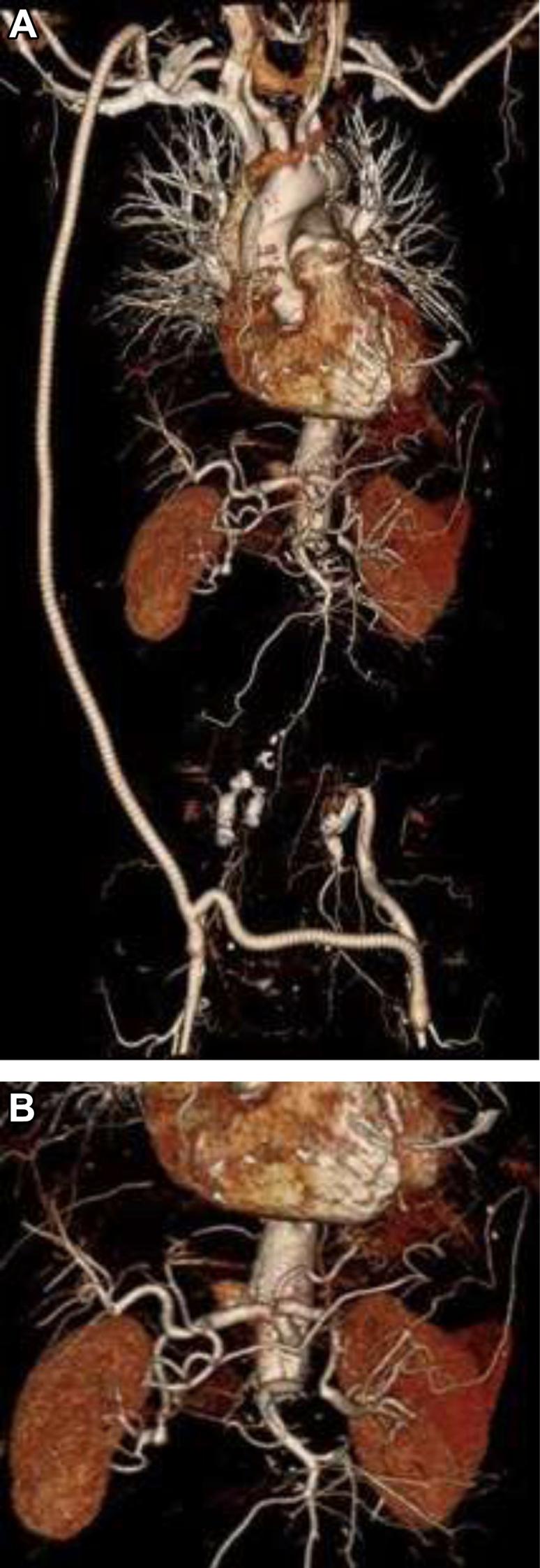 https://cdn.ncbi.nlm.nih.gov/pmc/blobs/922f/6529692/034291908929/gr4.jpg