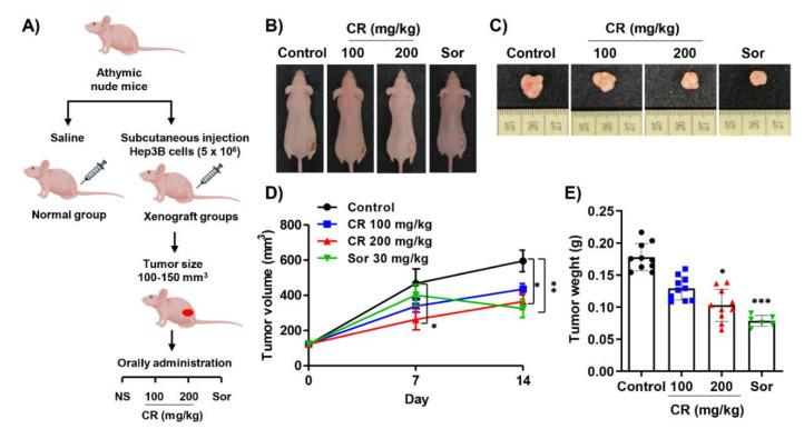 https://cdn.ncbi.nlm.nih.gov/pmc/blobs/9230/8124566/3d0051ba6ba5/ijms-22-04797-g005.jpg