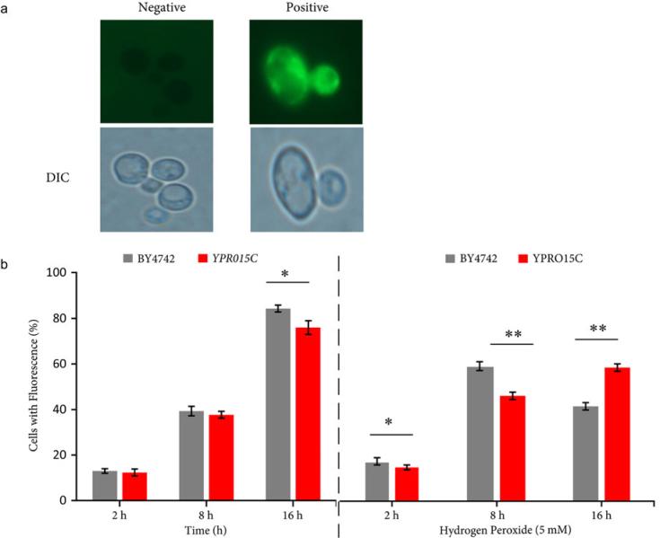 https://cdn.ncbi.nlm.nih.gov/pmc/blobs/9231/10266292/73474ecb8fe5/j_pjm-2023-019_fig_004.jpg